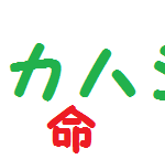 タカハシ、激安、ブログ、服、購入品、