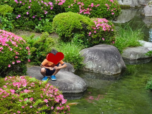 大江戸温泉,ホテル新光,日本庭園,鯉,