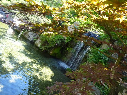 大江戸温泉,ホテル新光,滝,