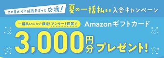 こどもちゃれんじ 夏のキャンペーン