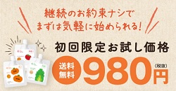 カインデス初回限定お試し価格