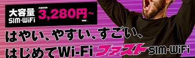 ファストSIMwifi