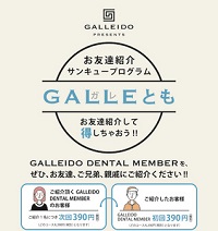 ガレイドスマートフード(GALLEIDO SMART FOOD)ガレトモ