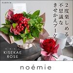 noemie(ノエミ)クーポン