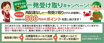 かにまみれクーポン500円