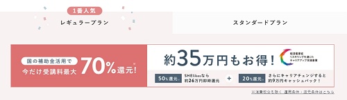 シーライクス（SHElikes）補助金