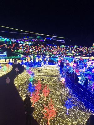 伊豆ぐらんぱる公園イルミネーション