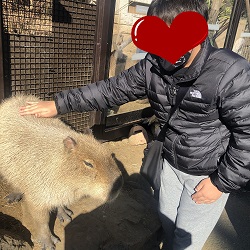 伊豆シャボテン公園カピバラ触る