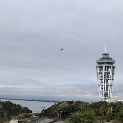 江ノ島展望台