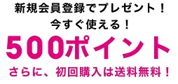 ANAP(アナップ)新規会員登録ポイント