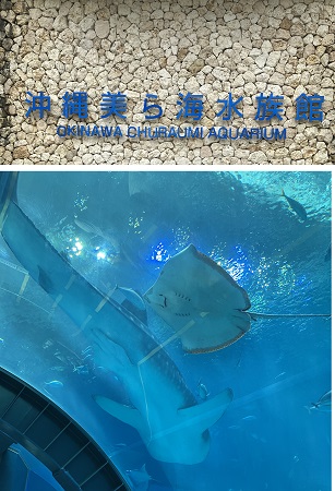 沖縄美ら海水族館