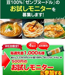 ゼンブ(zenb)ヌードル500円お試し