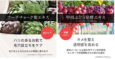 chodoバランシングセラム美容液植物成分