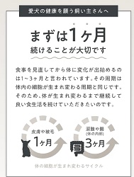 OBREMO(オブレモ)無料サンプルがない理由