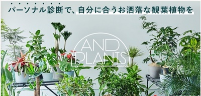 【5%OFF！】アンドプランツ(AND PLANTS)割引クーポンコードでお得に注文！