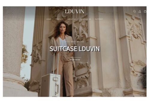 LDUVIN(ラドゥービン)スーツケース