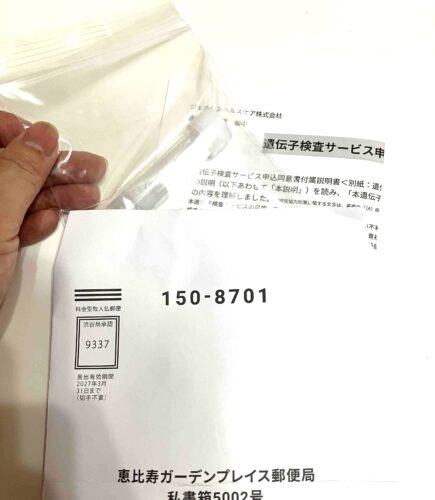 ジーンライフ やってみた