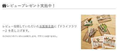びっくりカーペット レビュープレゼントキャンペーン