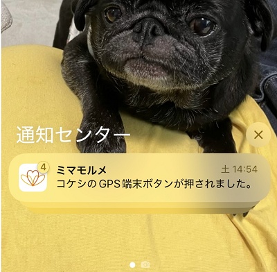 ミマモルメ SOS通知