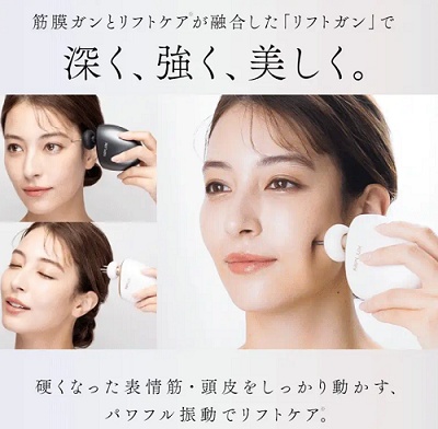 NIPLUX(ニップラックス) BEGUN