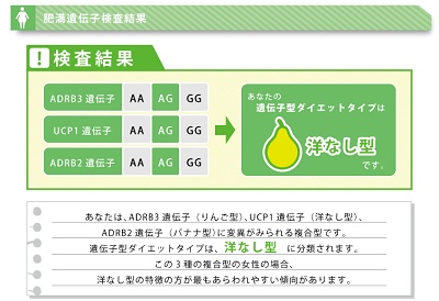 ジーンライフダイエット 洋なし型