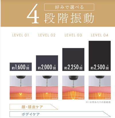 NIPLUX(ニップラックス) BEGUN振動レベル