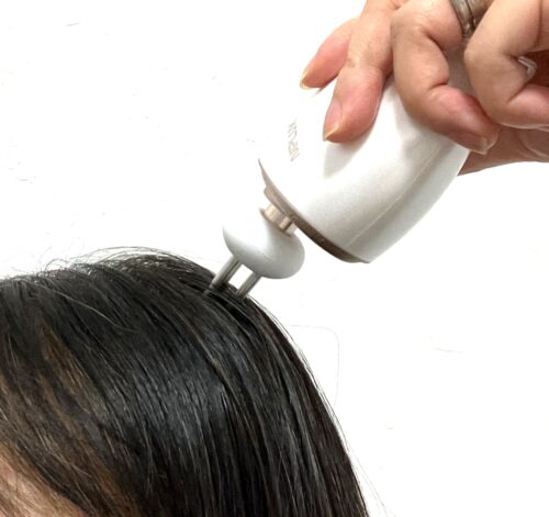 NIPLUX(ニップラックス) BEGUN3本ハリ型アタッチメント