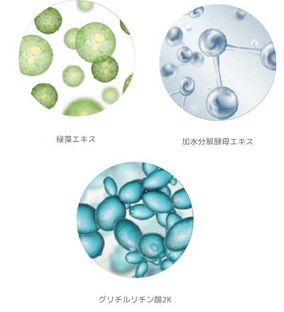ONSENSOU(オンセンソウ)とは