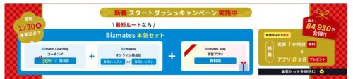 ビズメイツ 期間限定割引キャンペーン