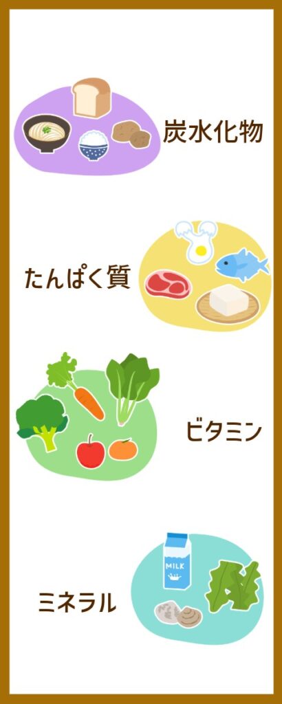 栄養バランス